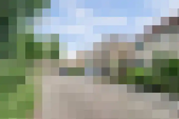 van Slotendreef 25 Rucphen thumbnail 38