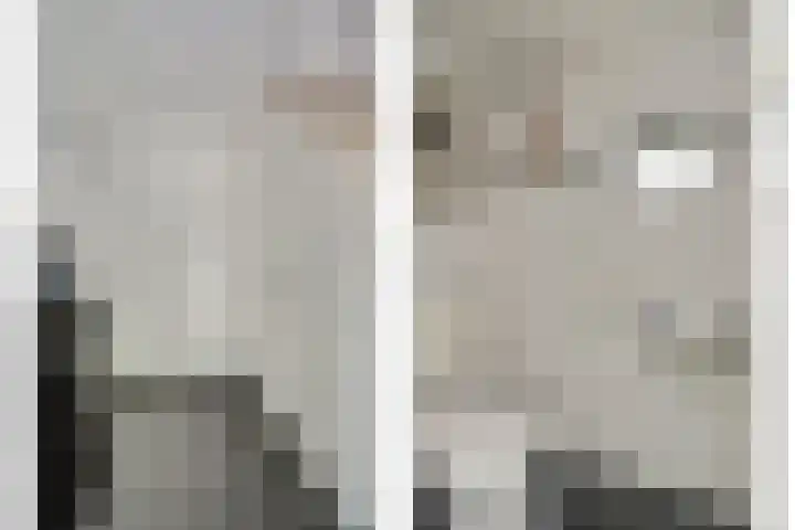 van Slotendreef 25 Rucphen thumbnail 4
