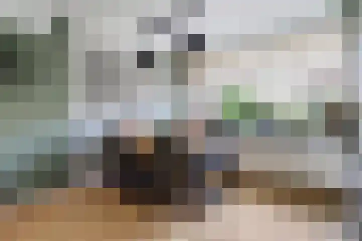 van Slotendreef 25 Rucphen thumbnail 8