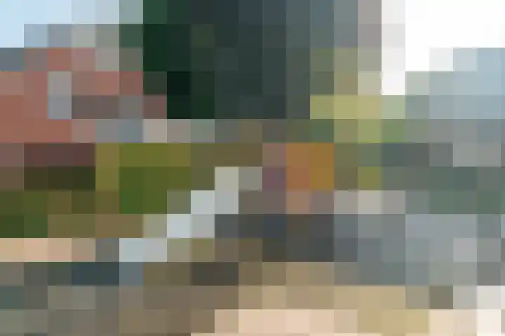 Van Slotenerf 18 a Elspeet thumbnail 35