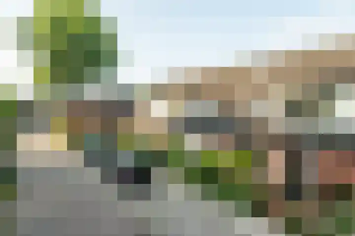 Van Slotenerf 18 a Elspeet thumbnail 7
