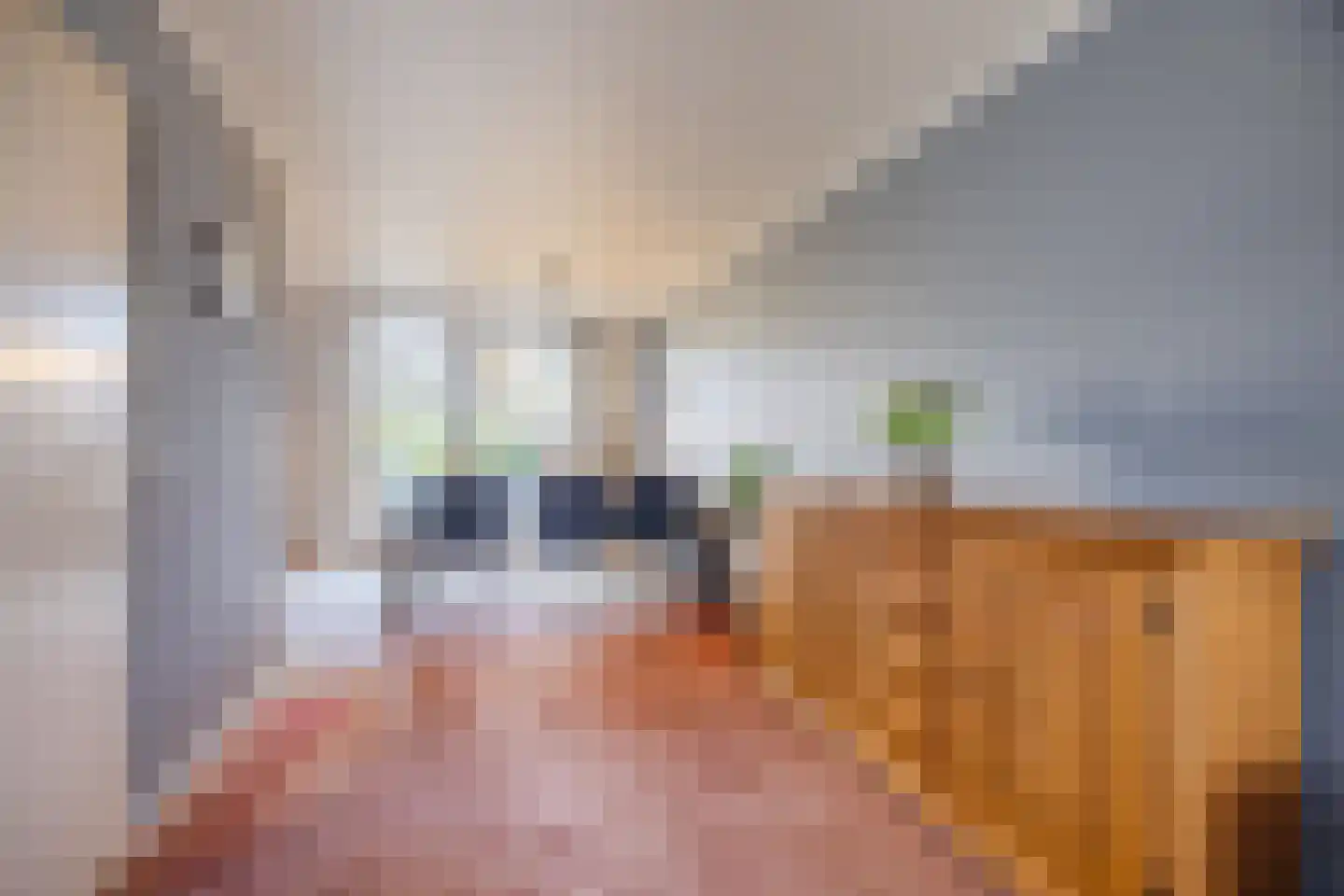 van Sloterdijckstraat 10 Geertruidenberg thumbnail 12