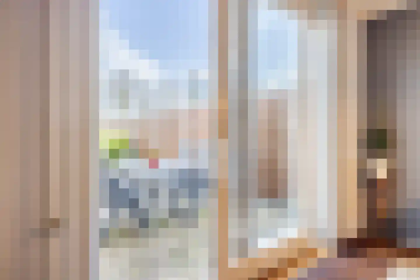 van Sloterdijckstraat 10 Geertruidenberg thumbnail 15