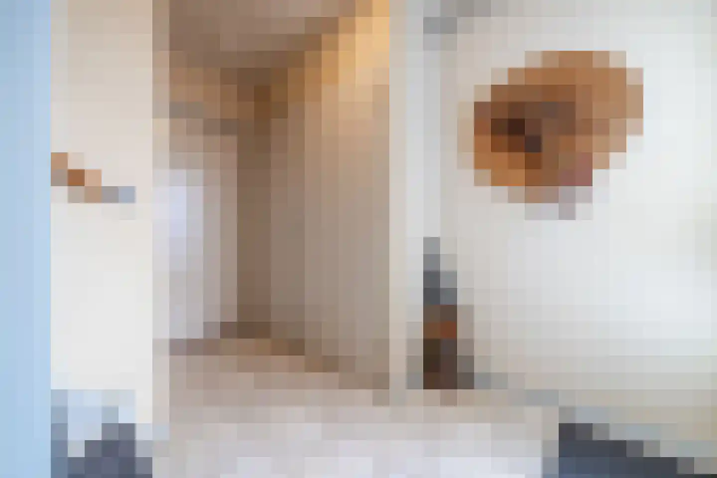 van Sloterdijckstraat 10 Geertruidenberg thumbnail 29