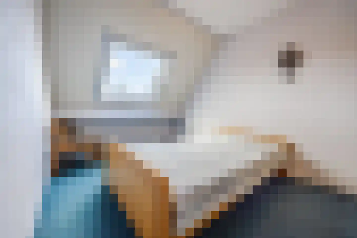 van Sloterdijckstraat 10 Geertruidenberg thumbnail 33