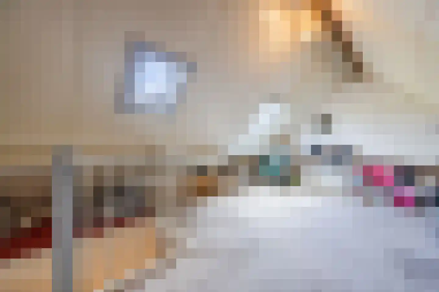 van Sloterdijckstraat 10 Geertruidenberg thumbnail 44