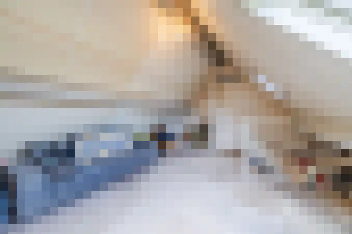 van Sloterdijckstraat 10 Geertruidenberg thumbnail 45