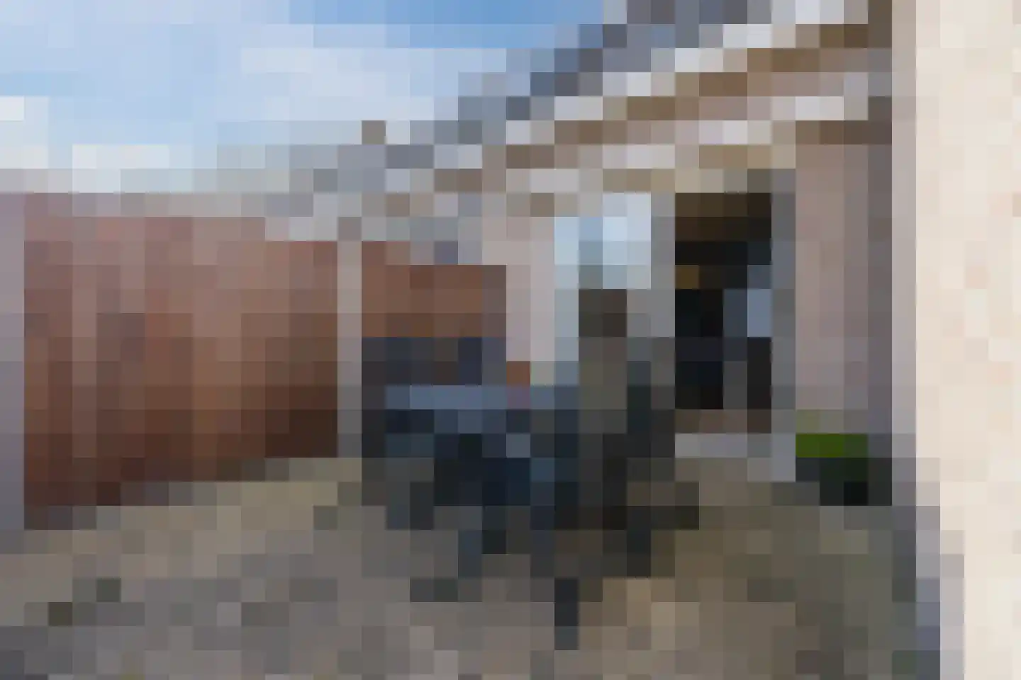 van Sloterdijckstraat 10 Geertruidenberg thumbnail 47