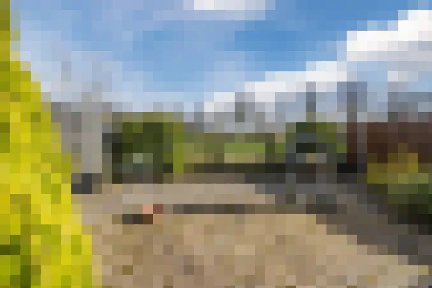 van Sloterdijckstraat 10 Geertruidenberg thumbnail 48