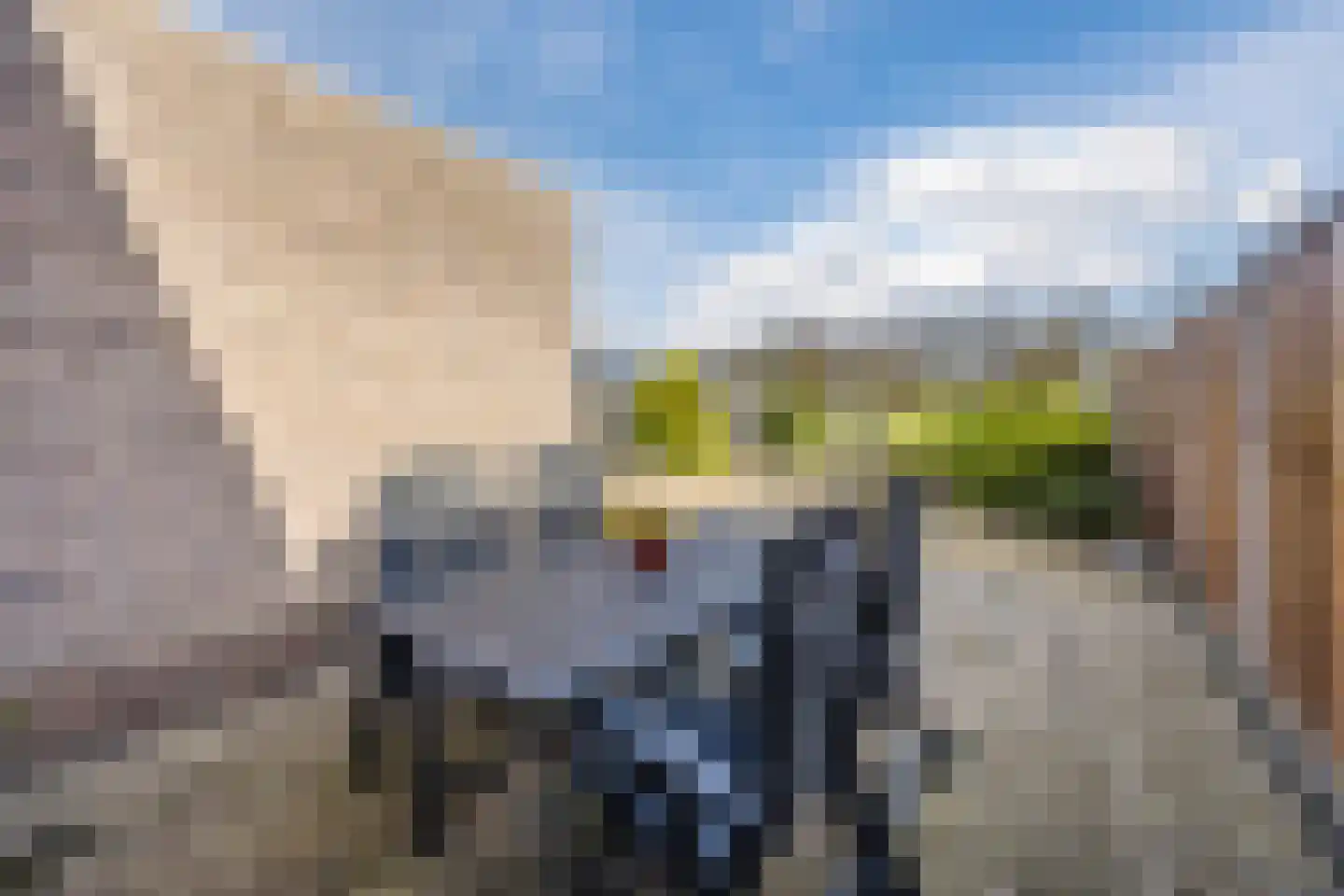 van Sloterdijckstraat 10 Geertruidenberg thumbnail 52