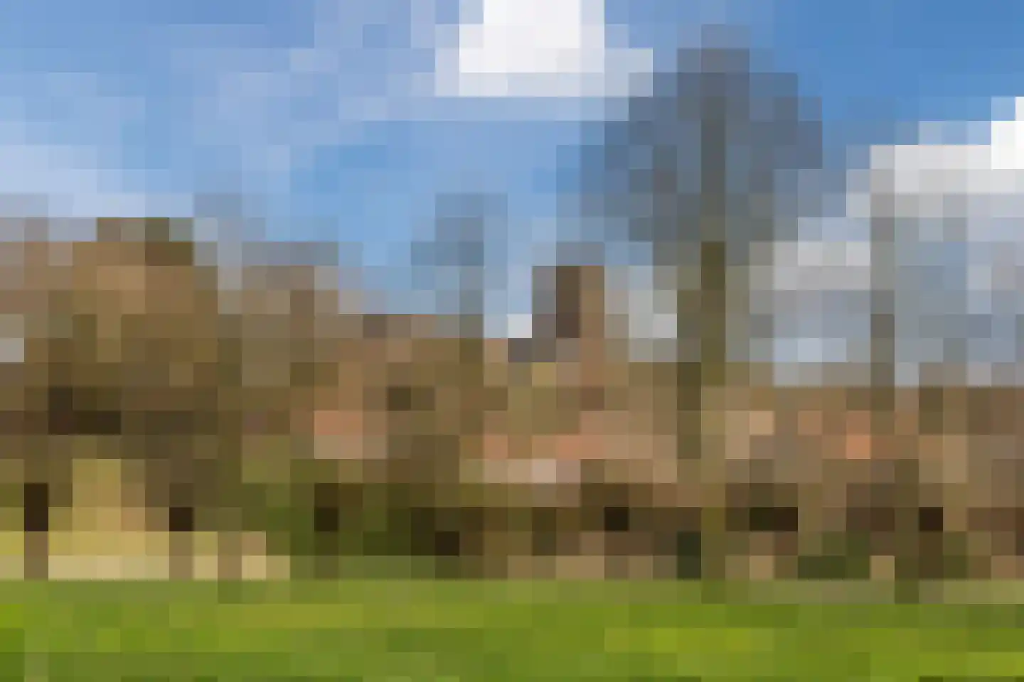 van Sloterdijckstraat 10 Geertruidenberg thumbnail 63