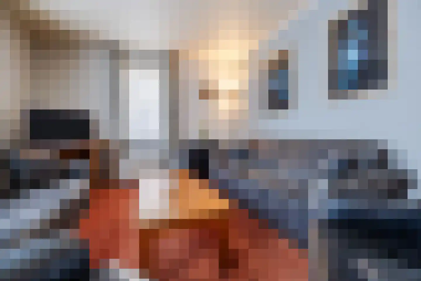 van Sloterdijckstraat 10 Geertruidenberg thumbnail 7