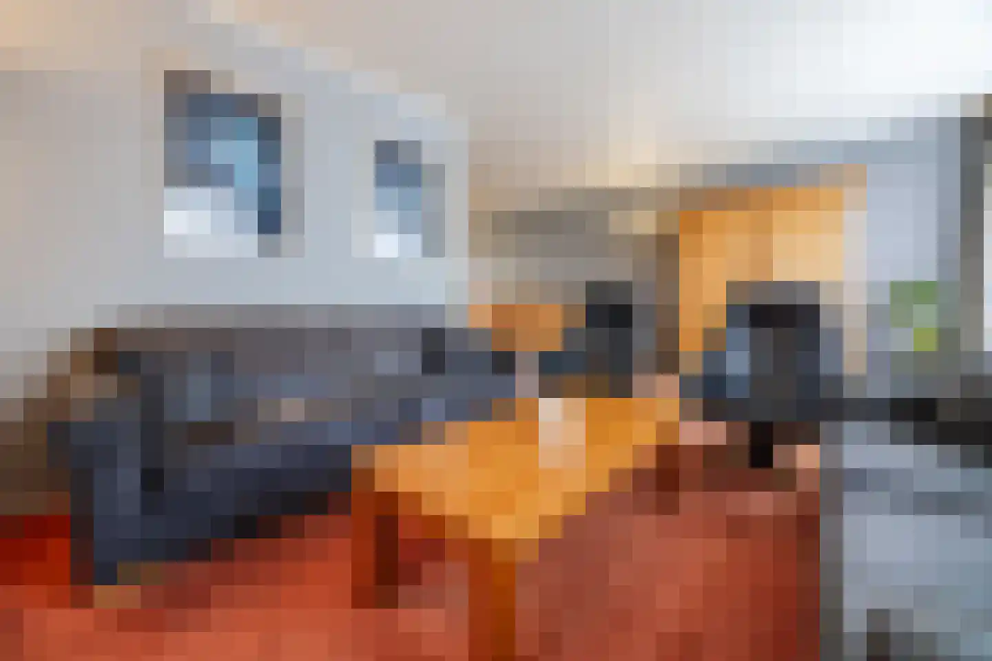 van Sloterdijckstraat 10 Geertruidenberg thumbnail 8