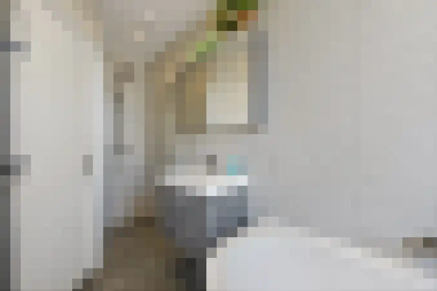 Van Smaleveltstraat 13 Schiedam thumbnail 30
