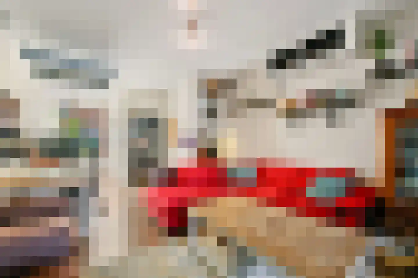 Van Smaleveltstraat 13 Schiedam thumbnail 8