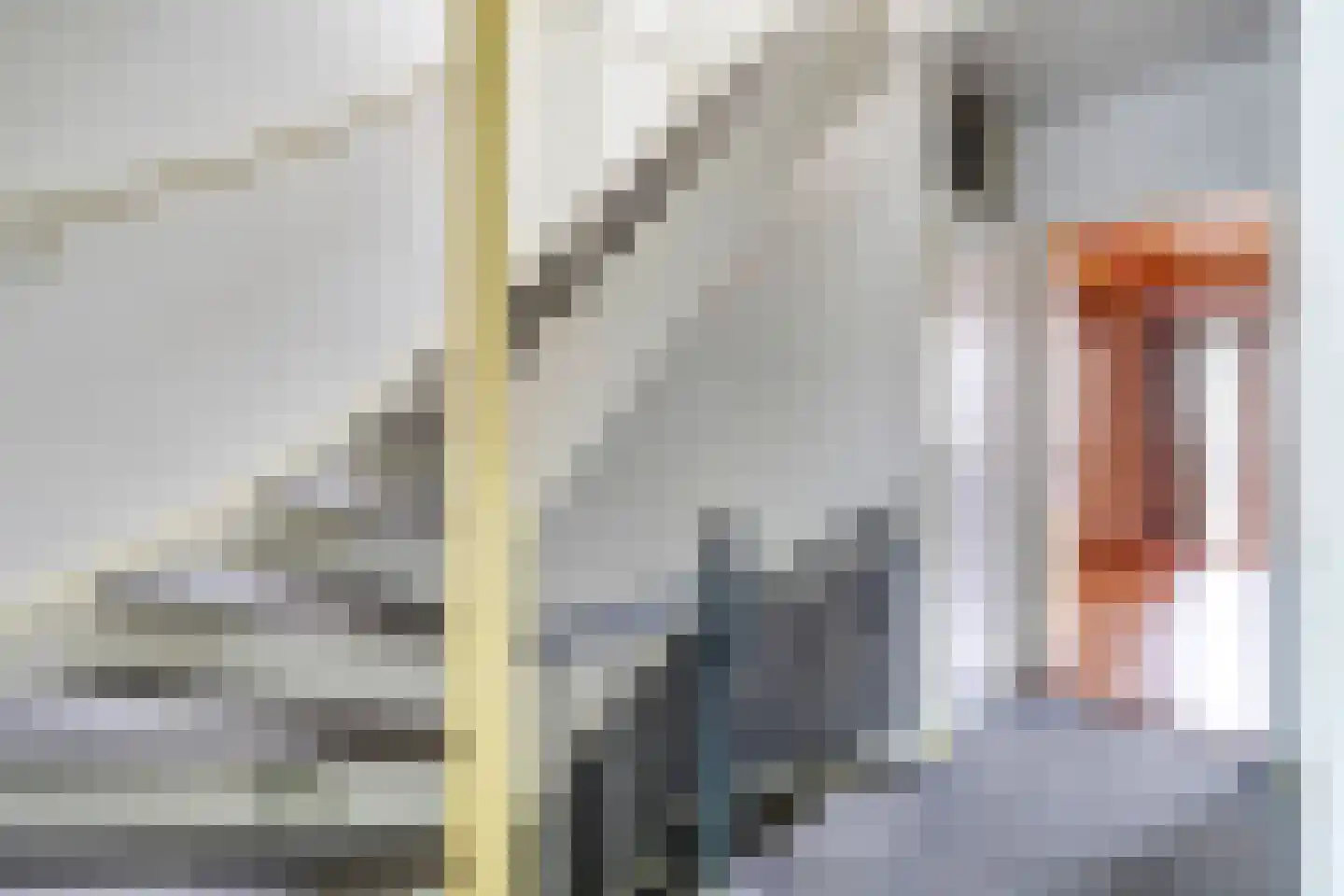 Van Smaleveltstraat 43 Schiedam thumbnail 29