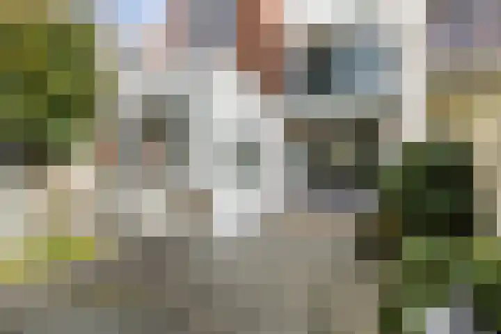 Van Smaleveltstraat 45 Schiedam thumbnail 24