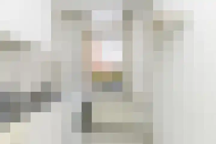 Van Smaleveltstraat 45 Schiedam thumbnail 33