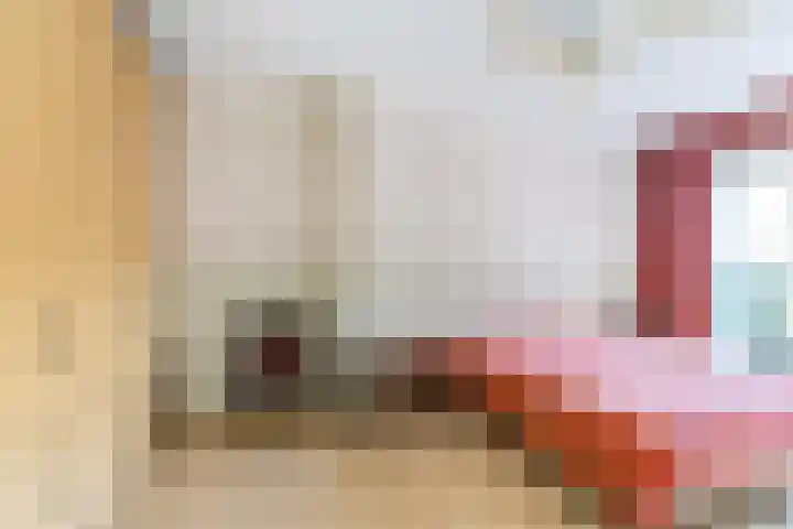 Van Smaleveltstraat 45 Schiedam thumbnail 36