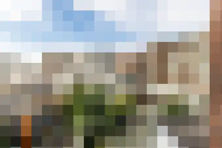 Van Smaleveltstraat 45 Schiedam thumbnail 38