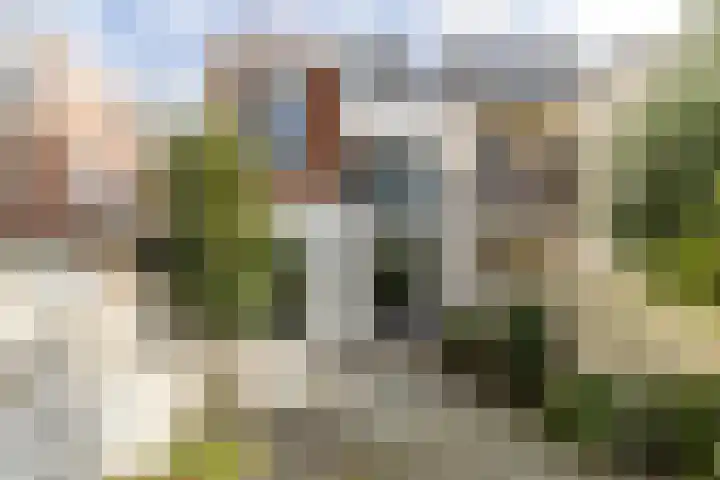 Van Smaleveltstraat 45 Schiedam thumbnail 5