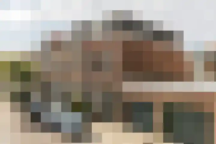 Van Smaleveltstraat 45 Schiedam thumbnail 6