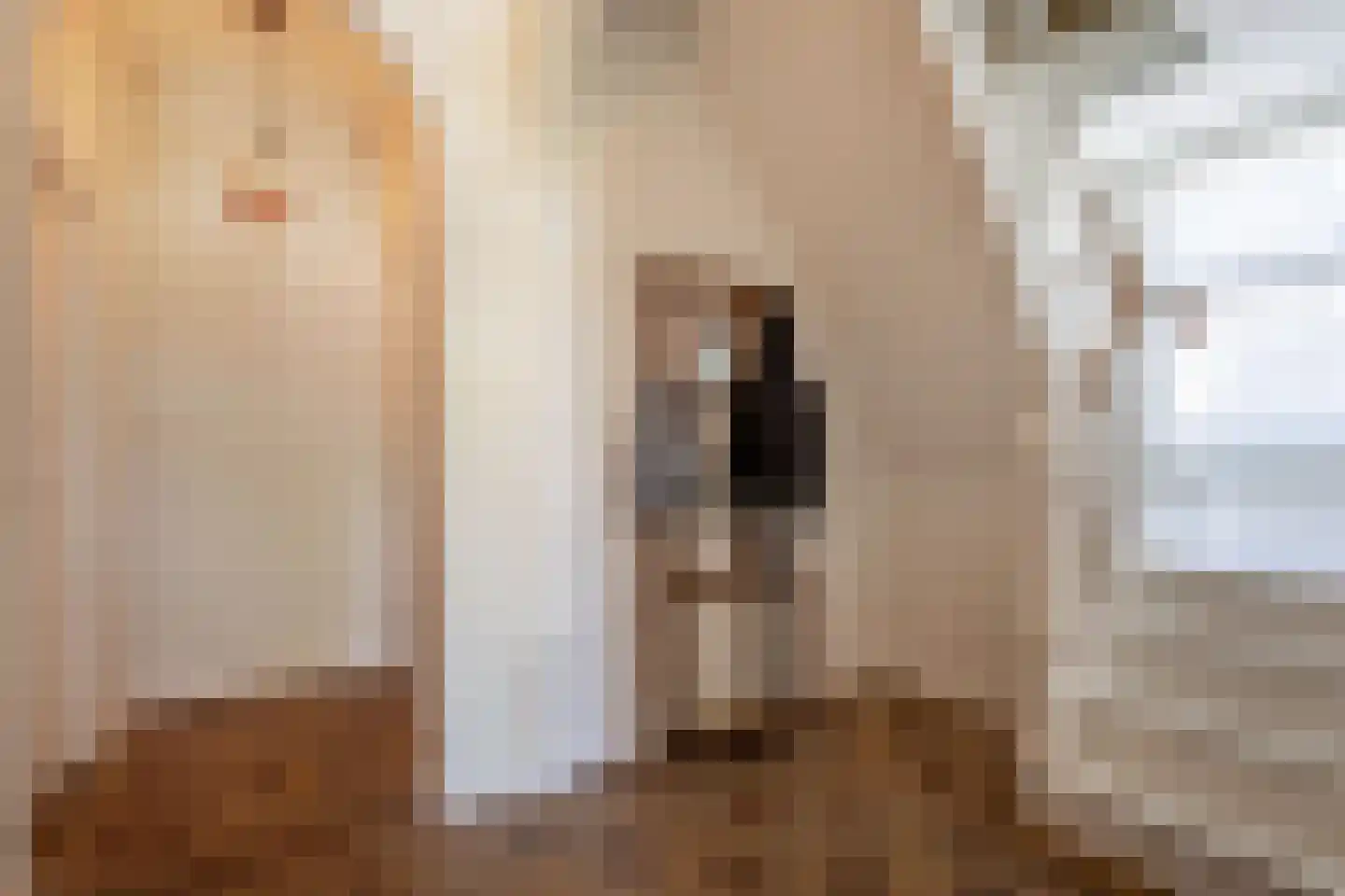 Van Sminialeane 12 Wommels thumbnail 11