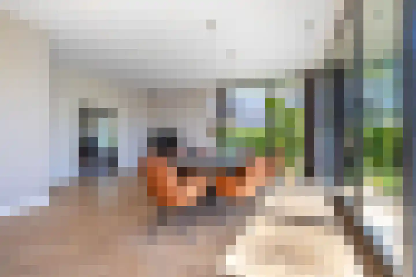 Van Sminialeane 12 Wommels thumbnail 18