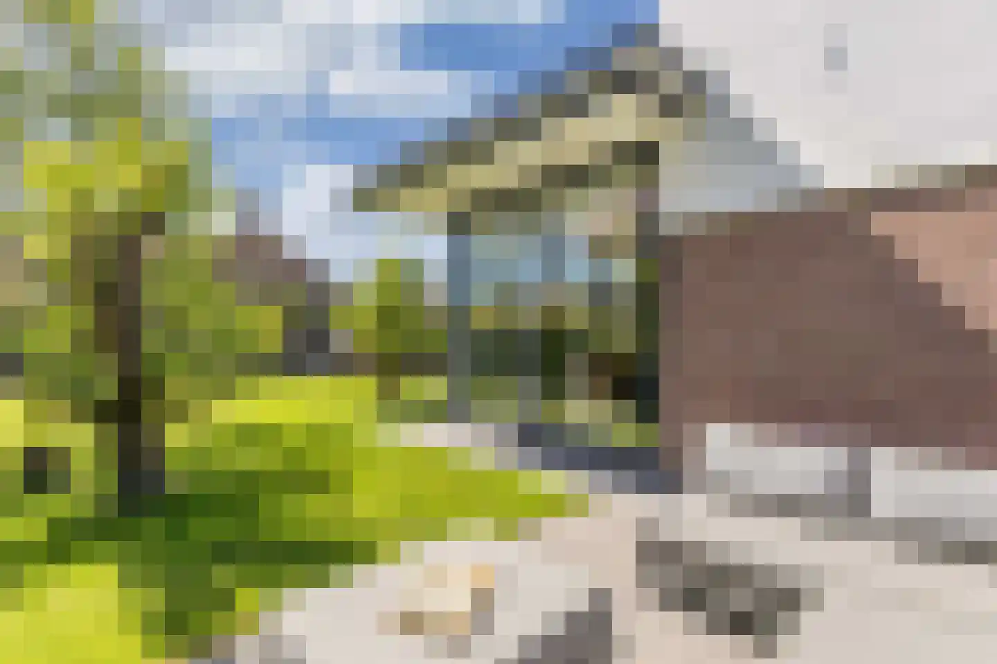 Van Sminialeane 12 Wommels thumbnail 60