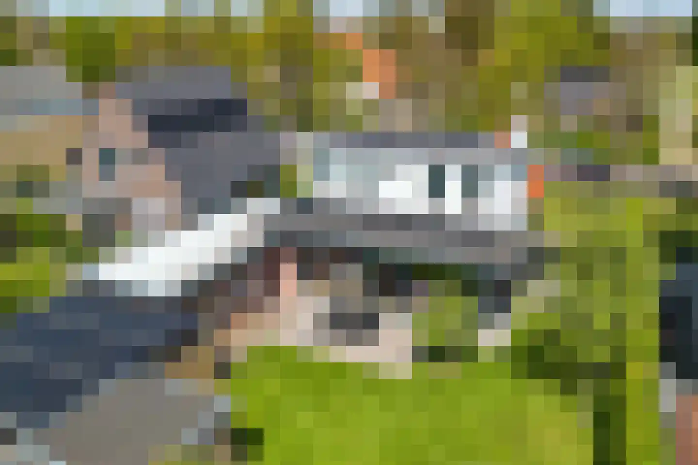 Van Sminialeane 12 Wommels thumbnail 64