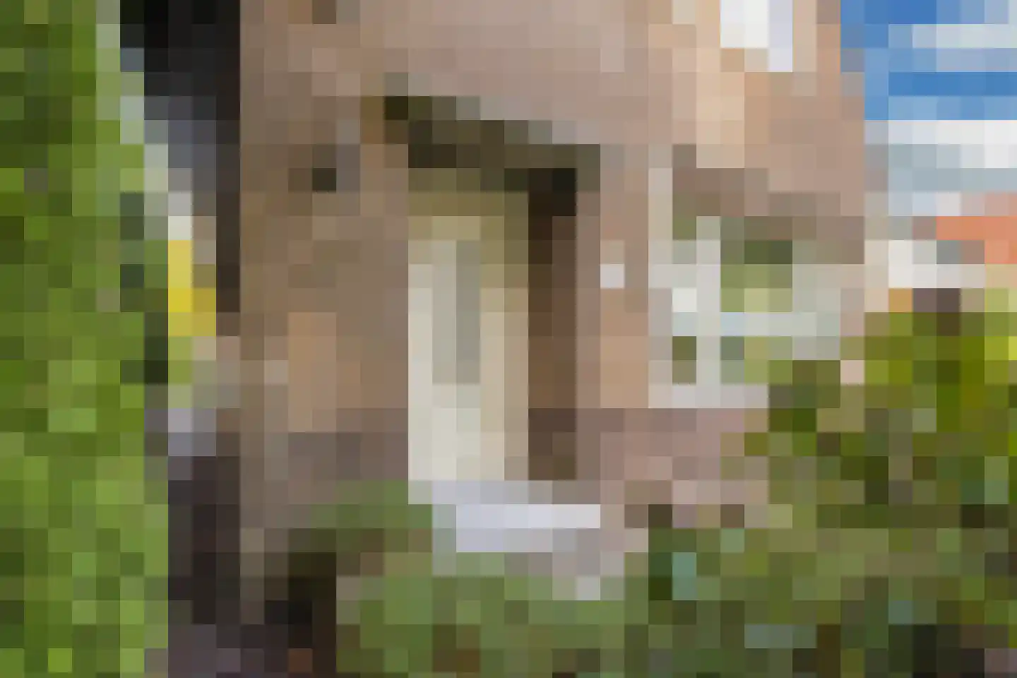 Van Sminialeane 17 Wommels thumbnail 10