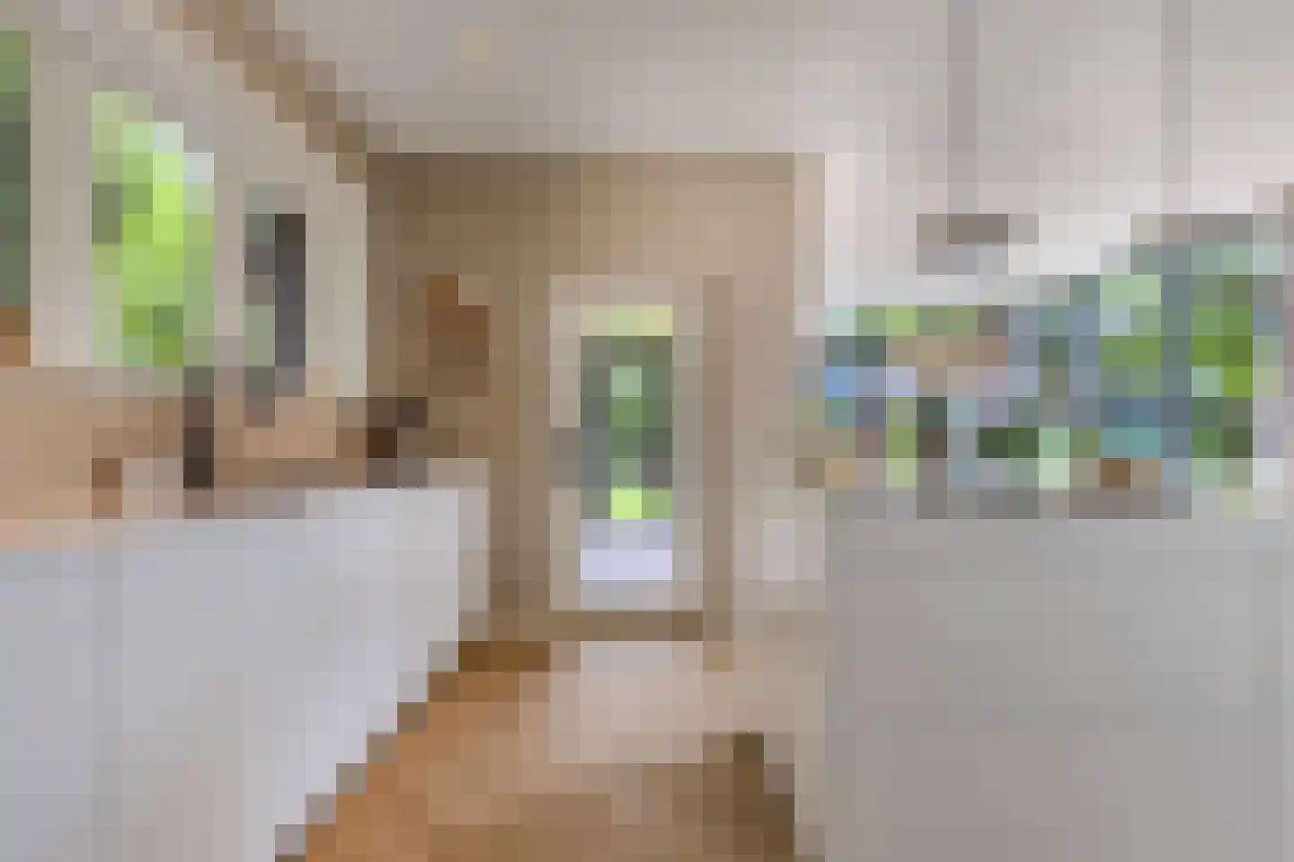 Van Sminialeane 17 Wommels thumbnail 12