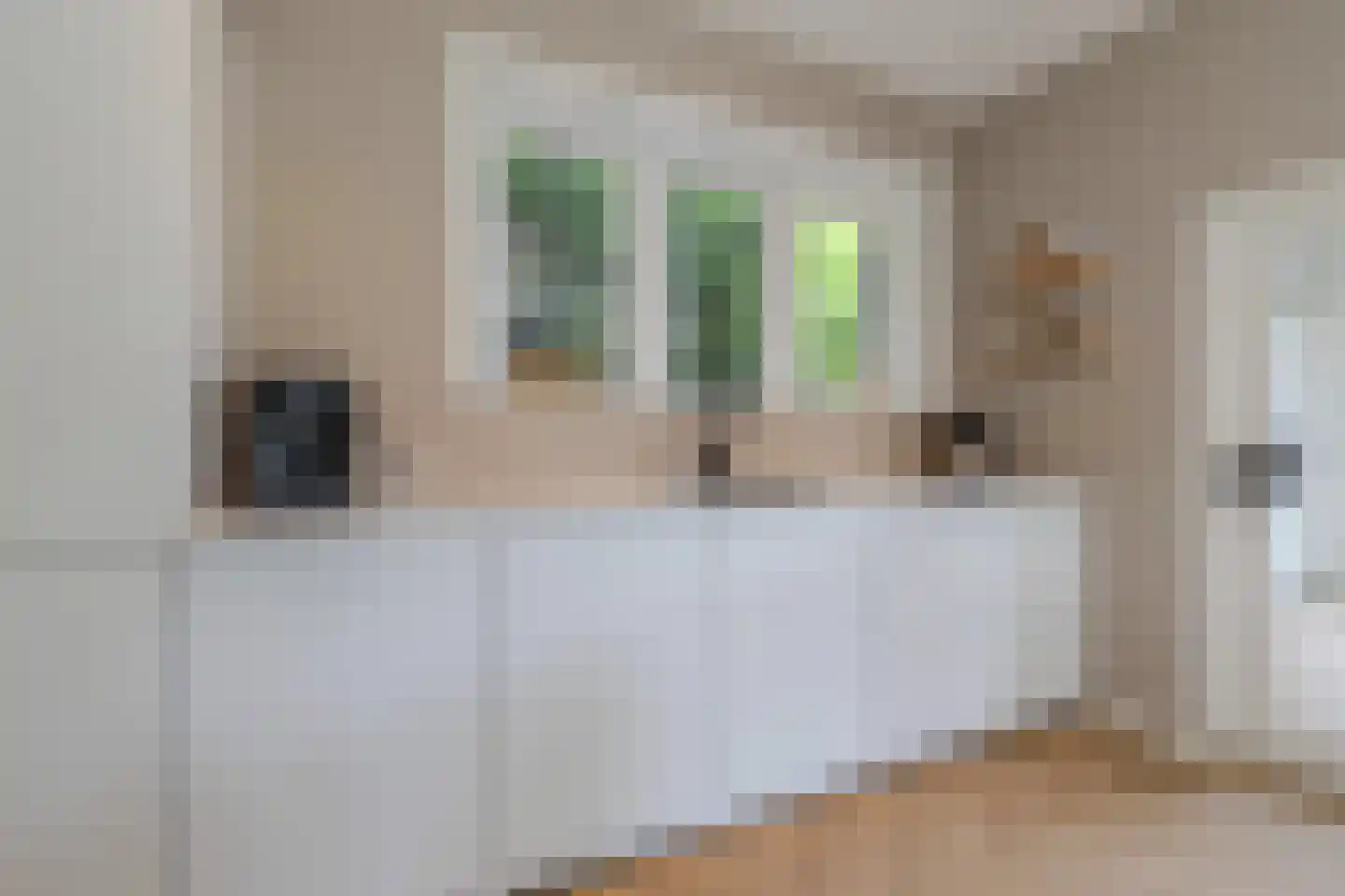 Van Sminialeane 17 Wommels thumbnail 14