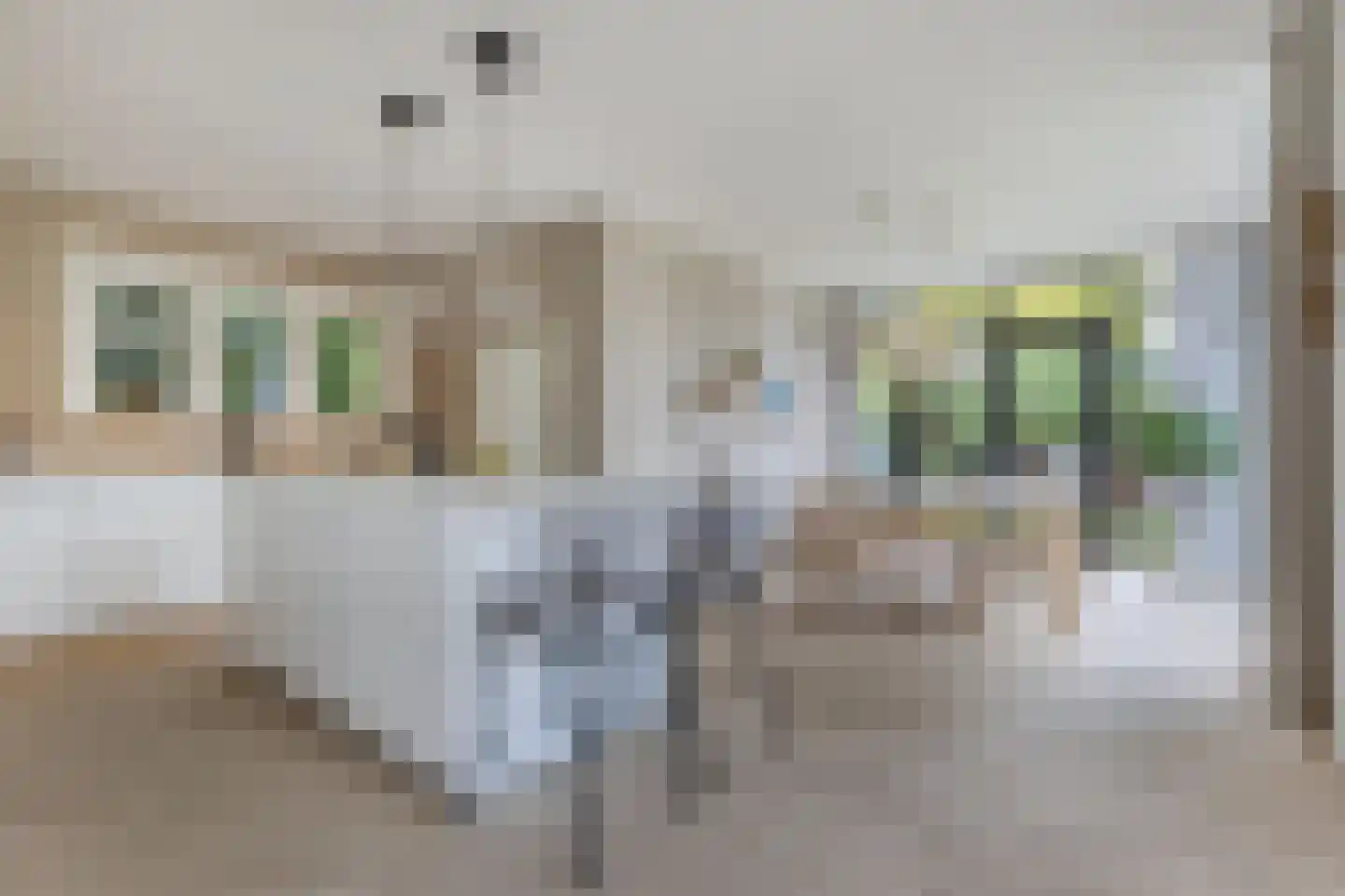 Van Sminialeane 17 Wommels thumbnail 18