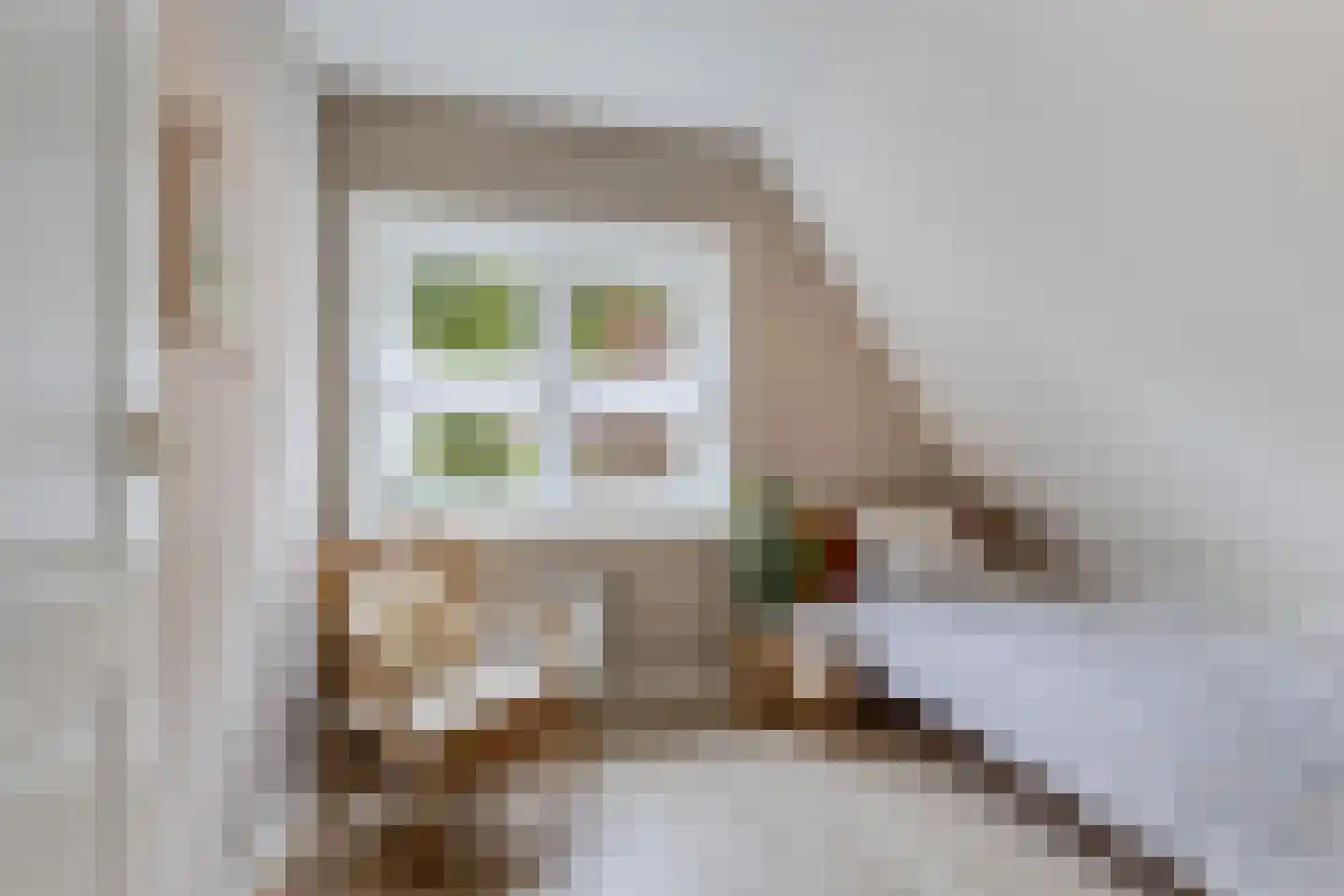 Van Sminialeane 17 Wommels thumbnail 38