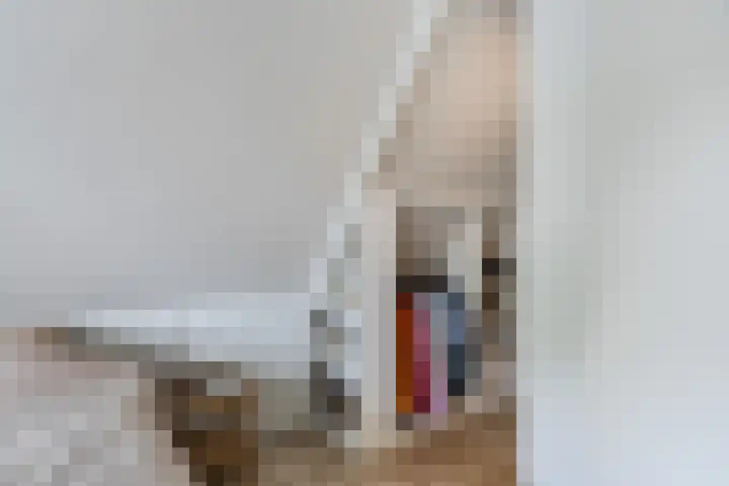Van Sminialeane 17 Wommels thumbnail 45