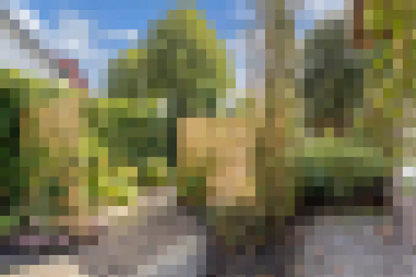Van Sminialeane 17 Wommels thumbnail 69