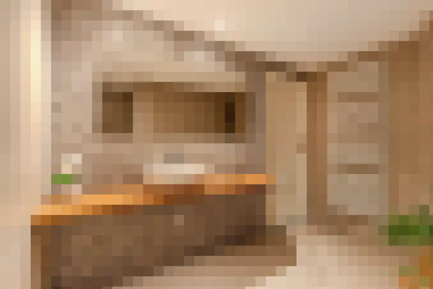Van Sminialeane 42 Wommels thumbnail 30