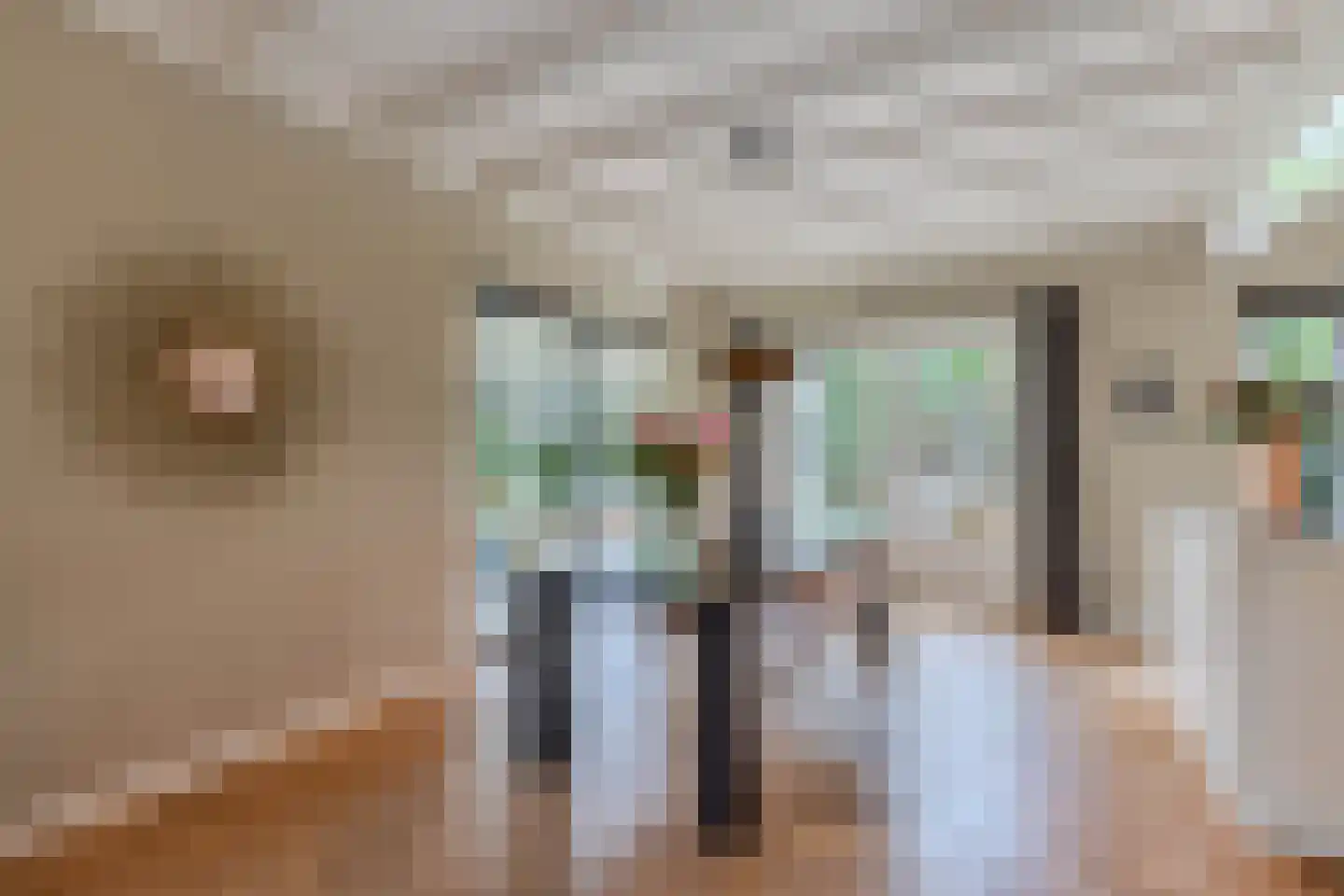 Van Sminialeane 42 Wommels thumbnail 4