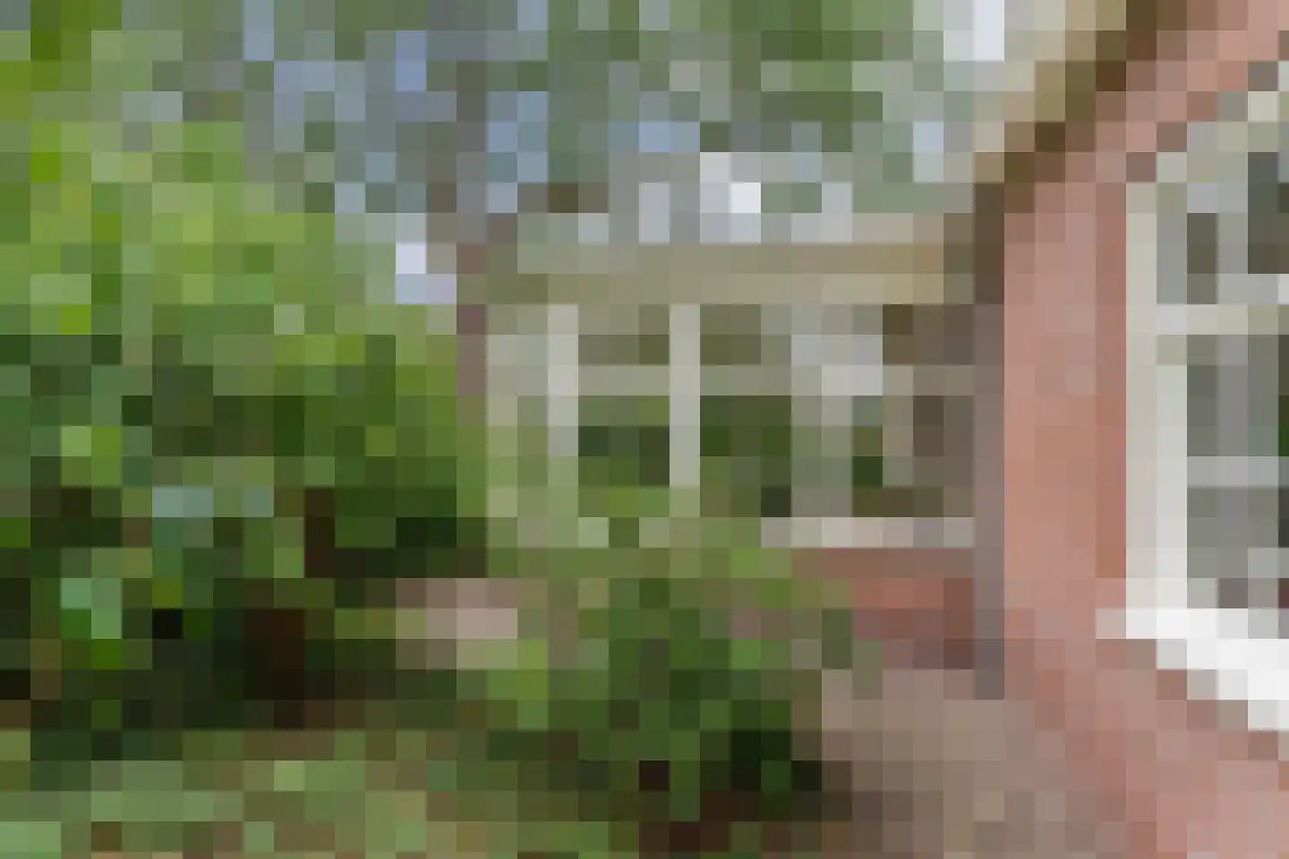 Van Sminialeane 42 Wommels thumbnail 60