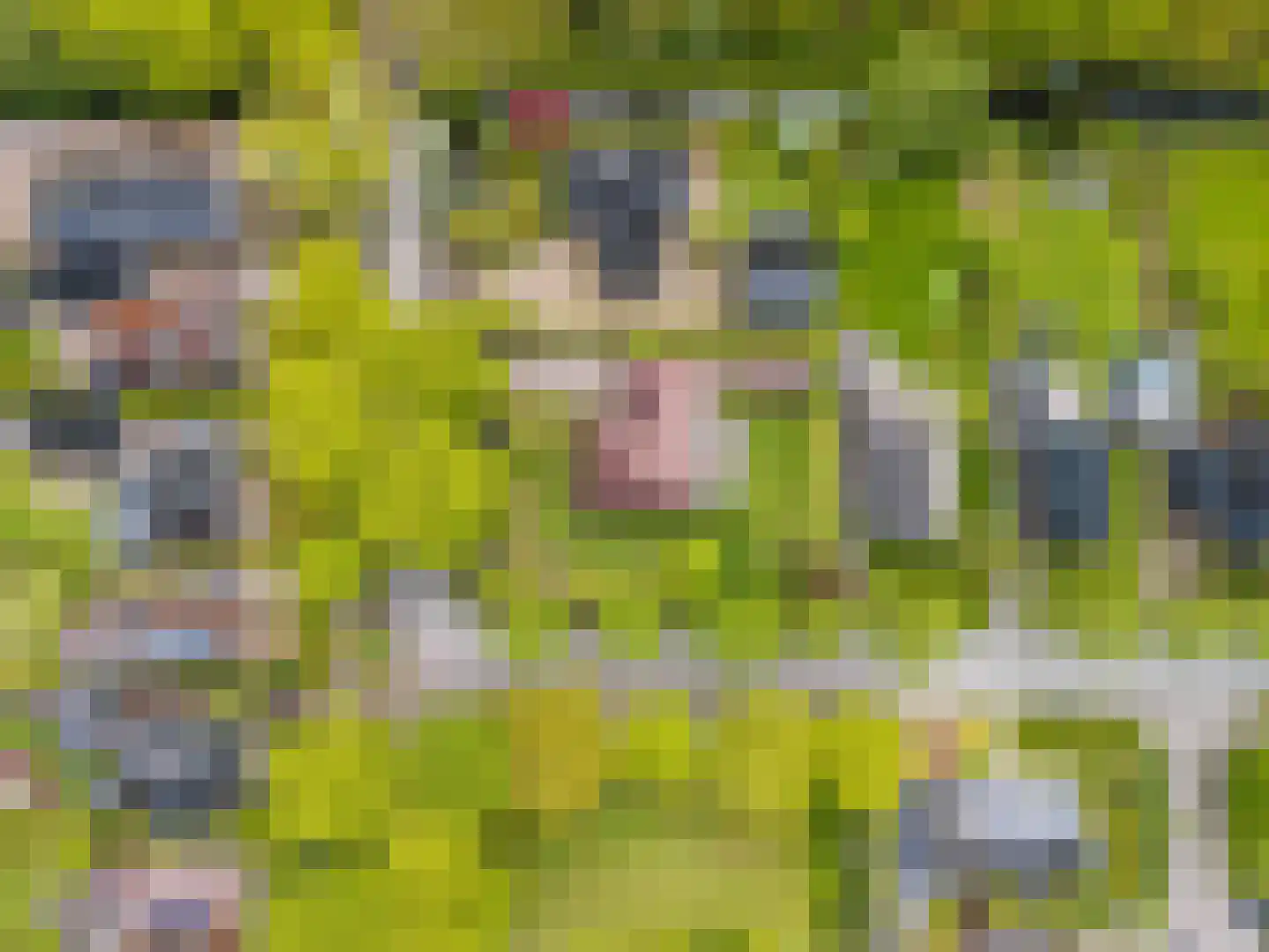 Van Sminiaweg 25 D Aldtsjerk thumbnail 53