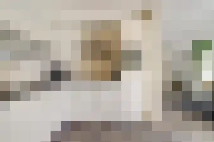 Van Soeststraat 15 Venlo thumbnail 10