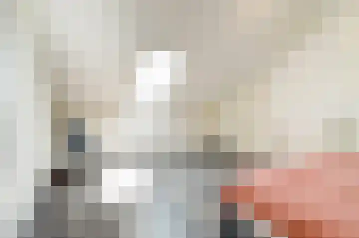 Van Soeststraat 15 Venlo thumbnail 18