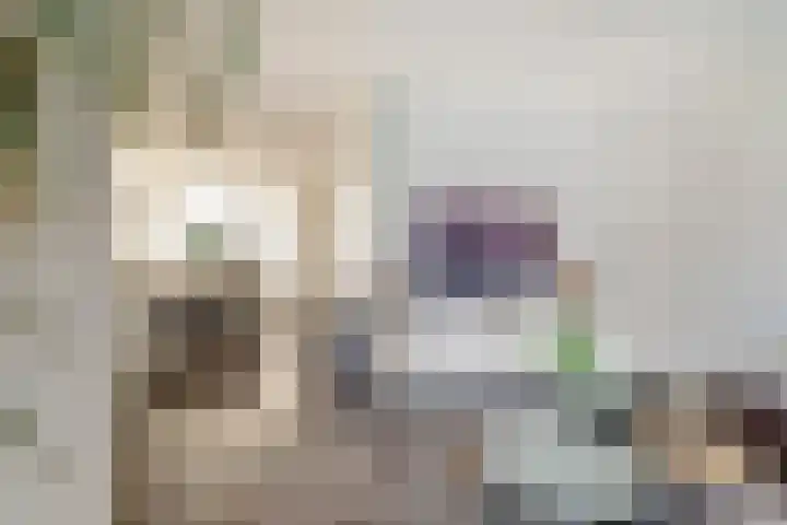 Van Soeststraat 15 Venlo thumbnail 4