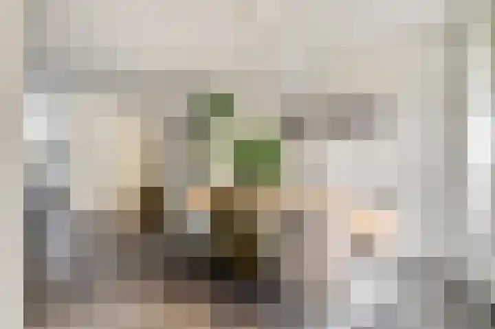 Van Soeststraat 15 Venlo thumbnail 8