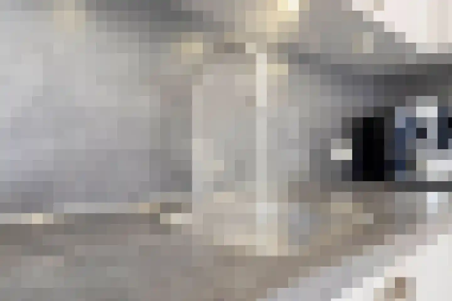 Van Soeststraat 9 Venlo thumbnail 18