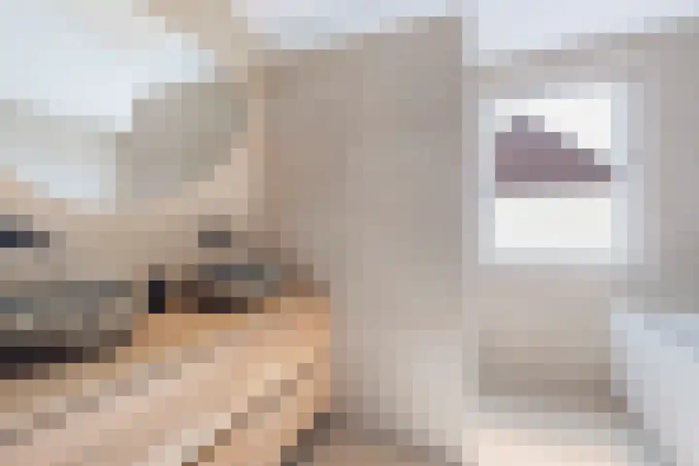 Van Soeststraat 9 Venlo thumbnail 27