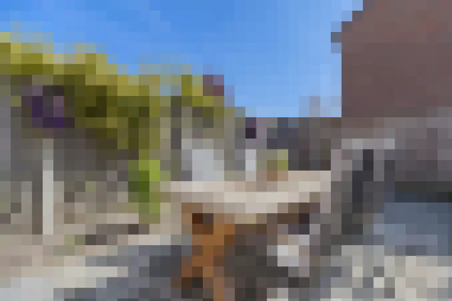 Van Soeststraat 9 Venlo thumbnail 36