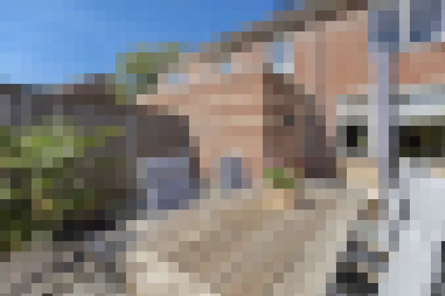 Van Soeststraat 9 Venlo thumbnail 38
