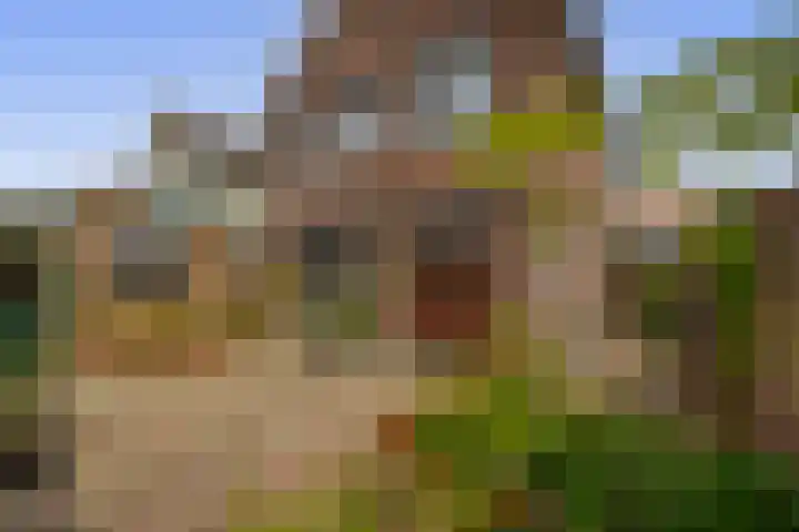 van Solmsstraat 1 Zevenbergen thumbnail 22
